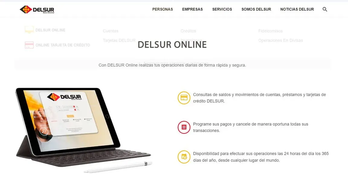 www.delsur.com.ve